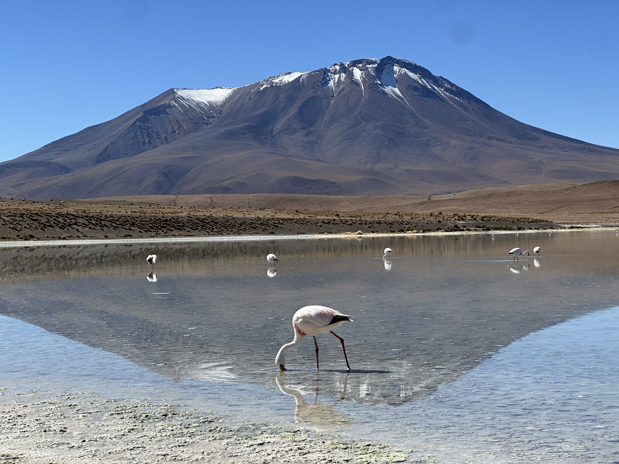 Through The Lens: The Road Trip From Uyuni to San Pedra de Atacama